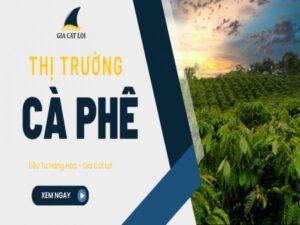 Tổng Quan Thị Trường Cà Phê Việt Nam